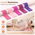 thumbnail image 4 of Pilates Kit Vanlgs 13Pcs Ring 33cm Ball 25cm Bands, 4 of 8