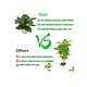 thumbnail image 4 of 4 Macetas Xtellar Plantas Artificiales Macetas Decorativas Bonsai blanco, 4 of 4