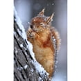 thumbnail image 3 of Kobakci, Ervin 11x14 Black Modern Framed Museum Art Print Titled - winter, 3 of 5
