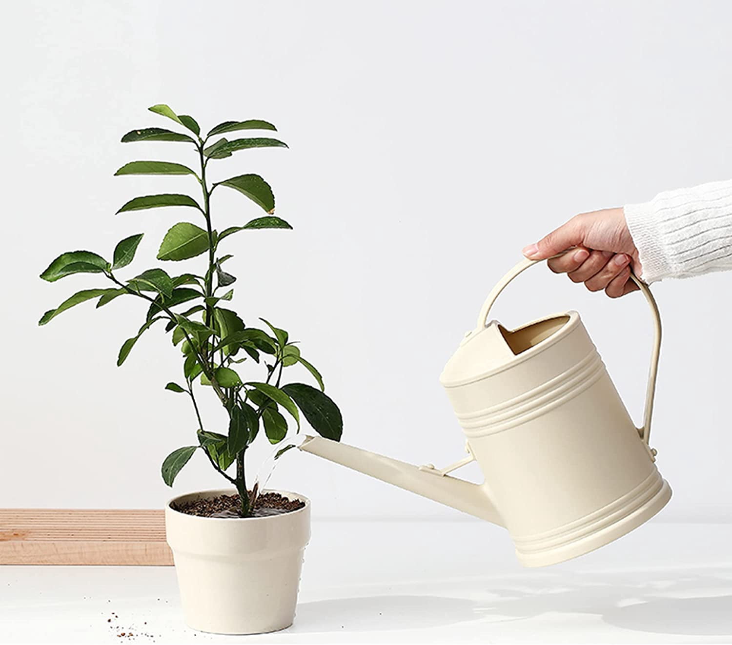 Plastic Indoor Watering Can with Sprinkler Head - 68 oz, 1/2 Gallon Dark Green