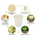 thumbnail image 2 of Tazas de Baño Compostables, Biodegradables, Ecológicas, para Enjuague Bucal, Vasos de Chupito Desechables, 2 of 4