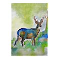 thumbnail image 1 of Betsy Drake FL336G Drapeau de Cerfs - 28 x 40 Po., 1 of 1