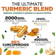 Turmeric Curcumin Supplement - 2000mg Organic Turmeric Per Serving - 95% Curcuminoids, Ginger & BioPerine Black Pepper for Best Absorption - Natural Vegan Joint Support, Bottled in USA - 120 Capsules