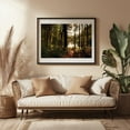 thumbnail image 3 of In the Woods at Puffers Pond, Amherst 01 - Amherst Massachusetts Photography Forest Nature Woodland Lake Autumn Scenic Wilderness Black Framed Wall Art Print 16 x 24 inches, 3 of 4