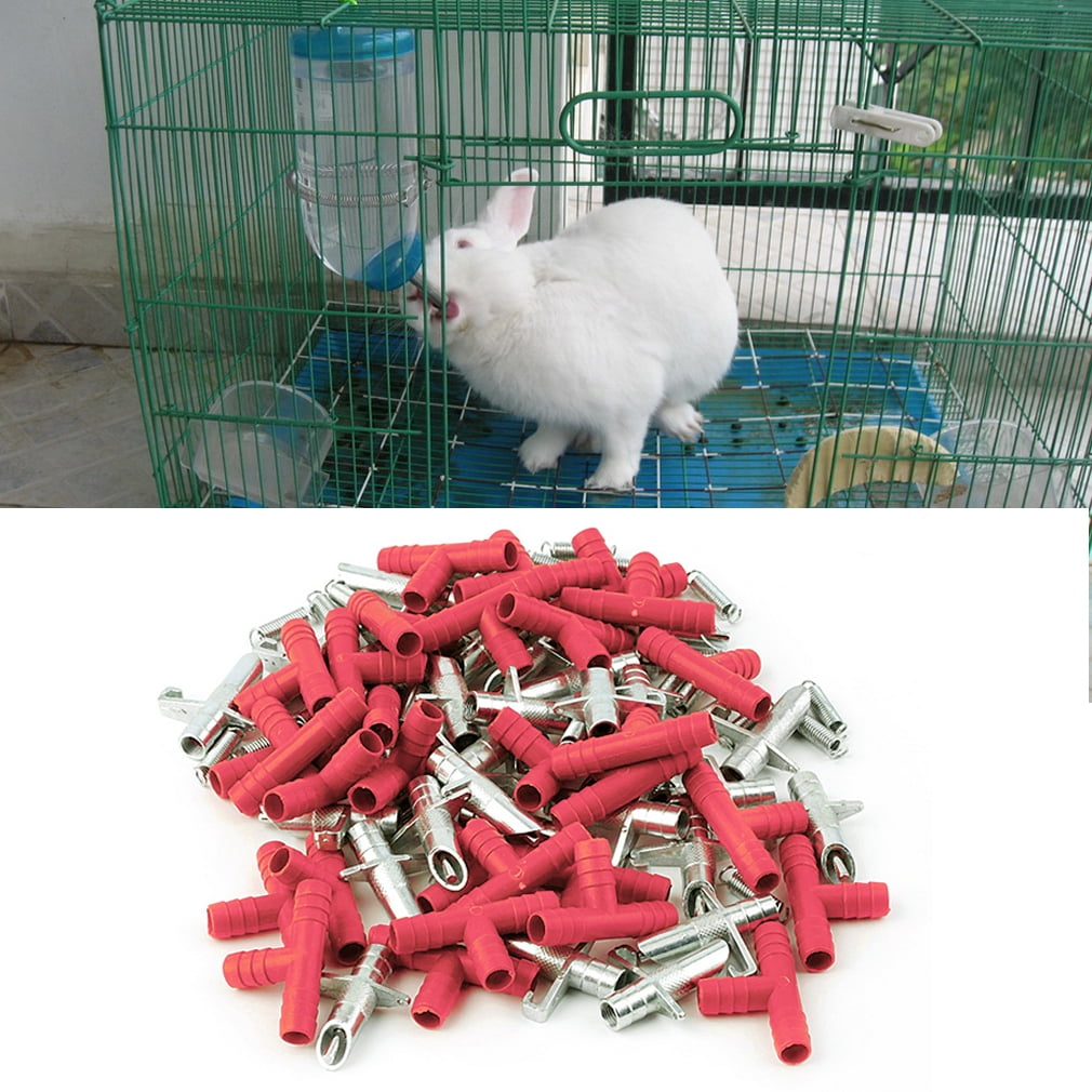 rabbit feeder water