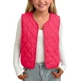 thumbnail image 2 of Bixock Toddler Girls Puffer Vests Girls Zip Up Jackets Kids Fleece Vests Waistcoat Outerwear Sleeveless Crew Neck Padded Thermal Daily Jacket for Kids 2-14Years, 2 of 7