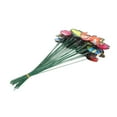 thumbnail image 4 of Decorative Stakes, Spring Stake 50Pcs  Stakes Decorations PVC  For Yard, 4 of 7