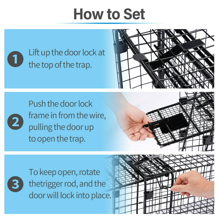 Humane Way Folding 32 inch Live Humane Animal Trap - Safe Traps for All Animals - Raccoons, Cats, Groundhogs, Opossums - 32x10x12