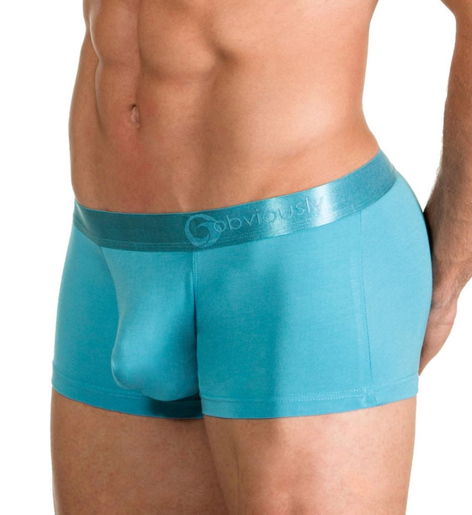 Obviously Spectra 2.0 Collection AnatoFREE Hipster Trunk 
