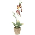 thumbnail image 3 of Northlight 14" Orchid Flower Artificial Potted Plant - Red/Yellow, 3 of 9