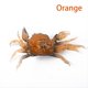 thumbnail image 1 of High quality Silicone Road Bait 3D Simulation Crab Bait With Hook Sea Fishing Bait Tackle He Qiyong unisex, 1 of 2