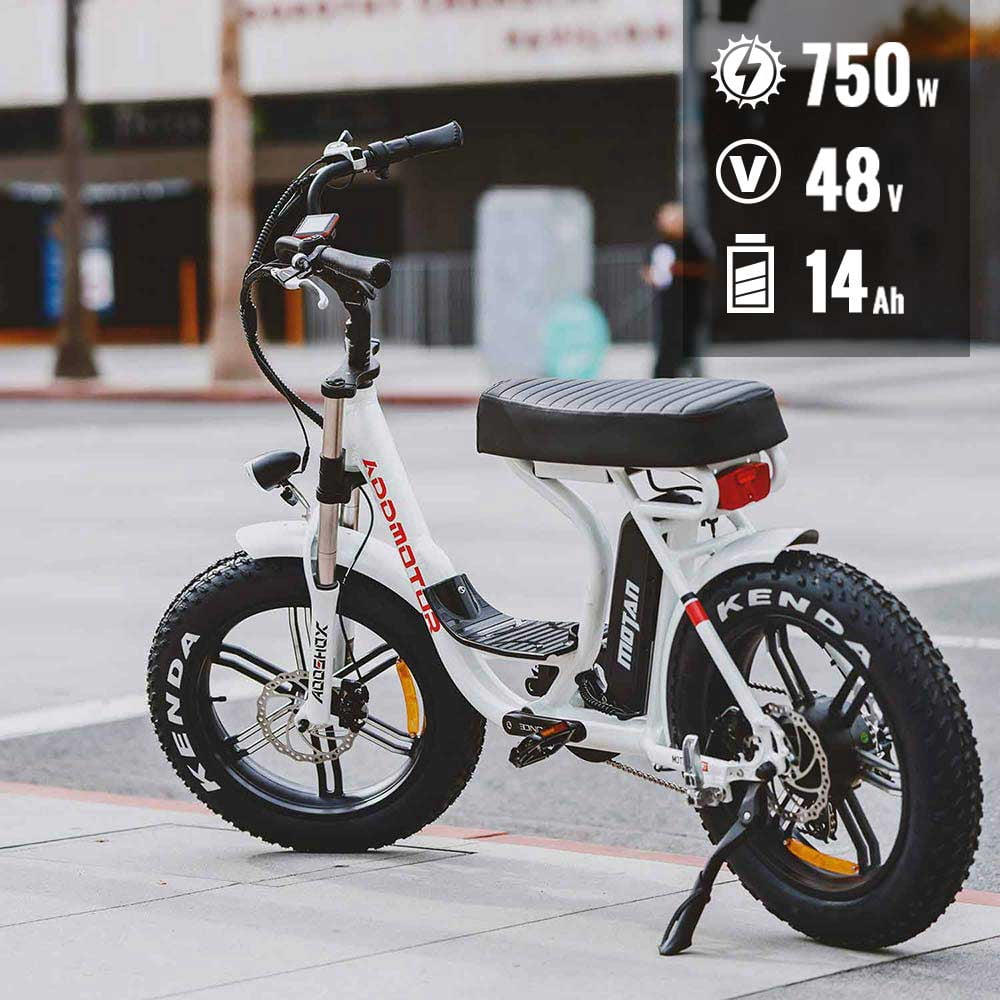 20'' 750W 48V 14Ah Fat Tire Electric Beach Cruiser Bike, Step-Thru E ...