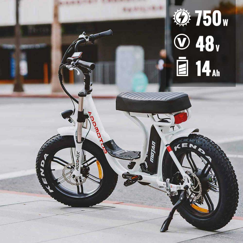 20'' 750W 48V 14Ah Fat Tire Electric Beach Cruiser Bike, StepThru E