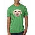 thumbnail image 1 of Wild Bobby, Golden Retriever Cute Gift, Dog Lover, Men Premium Tri Blend Tee, Envy, Small, 1 of 4