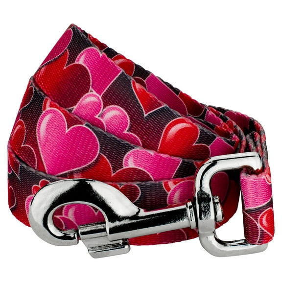 Country Brook Design®  1 inch Romantic Hearts Dog Leash - 4 Foot