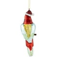 thumbnail image 5 of 6.5" Tropical Bird Glass Christmas Ornament, 5 of 6