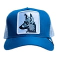 thumbnail image 1 of Gorra Visera curva con malla y ajustador Pook Xolo, 1 of 3