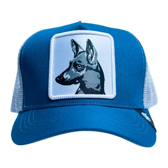 Gorra Visera curva con malla y ajustador Pook Xolo