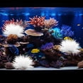 thumbnail image 4 of WRITWAA Realistic Design Simulated Water Plant Fish Tank Landscaping White Plastic 1 Piece, 4 of 7