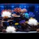 thumbnail image 1 of BESTYASH Planta Decorativa Simulada Para De Peces Con Vívido Y Natural, 1 of 8