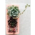 thumbnail image 6 of Silicone Pot Concrete Resin Epoxy Garden Decoration - Pink, I 16X5.5X5CM, 6 of 10