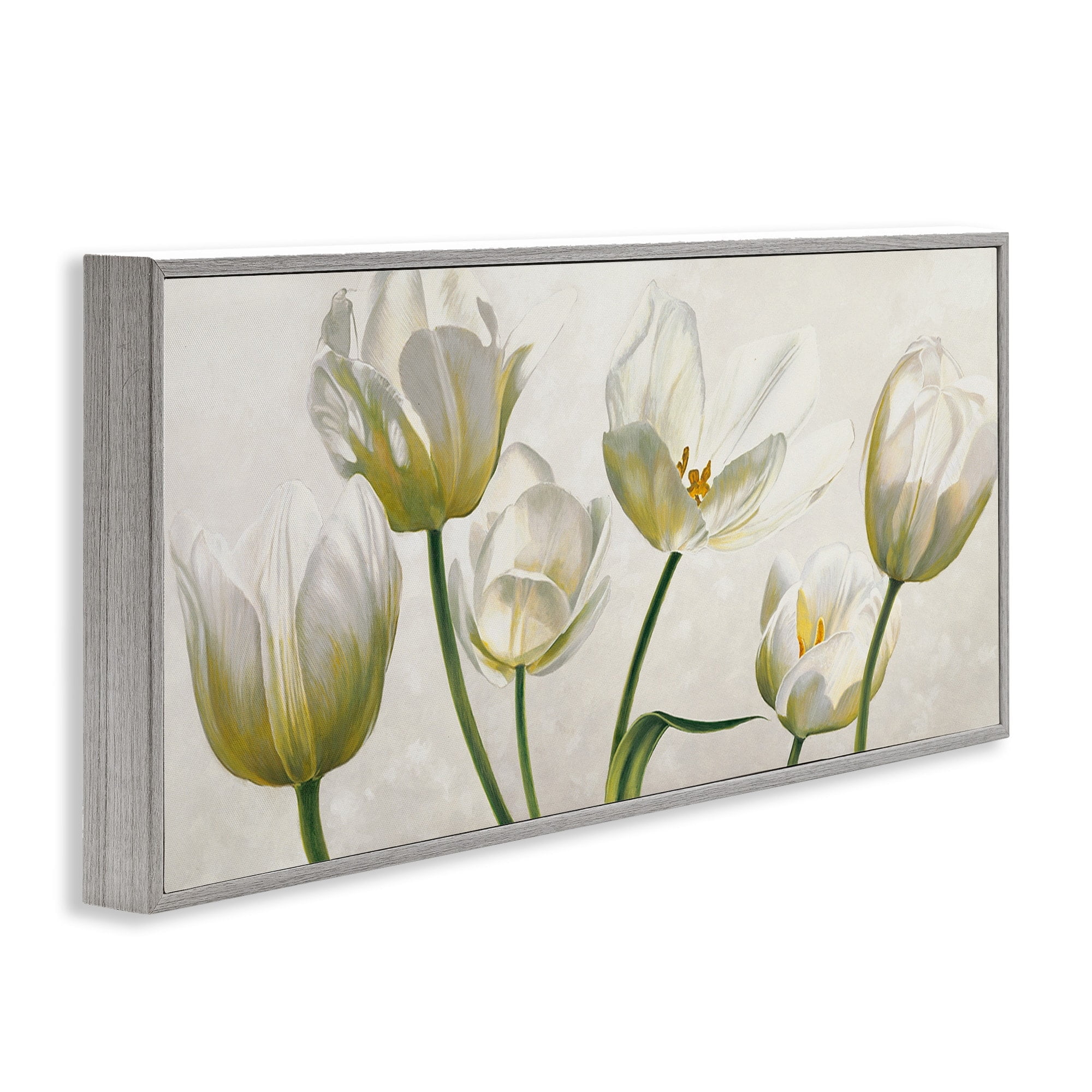 Stupell Industries Soft White Blooming Tulip Petals Floral Details, 13 x 30,Design by Eva Barberini