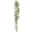 thumbnail image 1 of 43 in. Plant Hanging Bush, Green & Red, 1 of 1