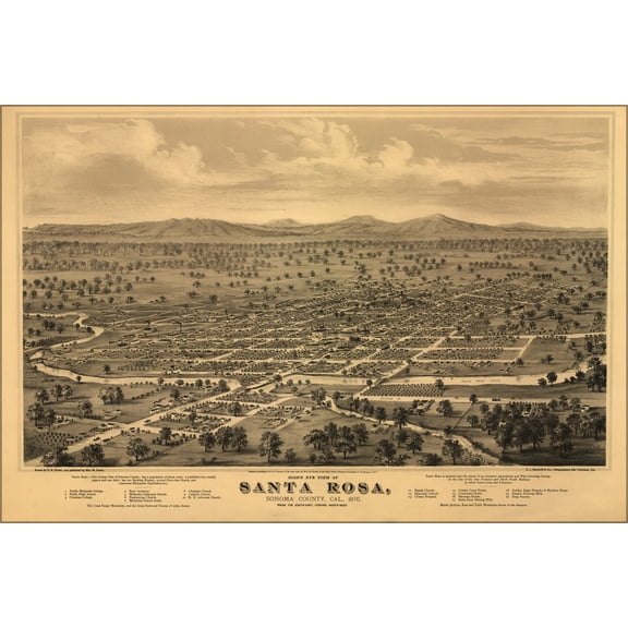 24"x36" Gallery Poster, Bird's eye view map of Santa Rosa, Sonoma County, Cal., 1876