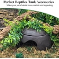 thumbnail image 3 of 2PCS Reptile Wood Branches, Snake Climbing Branch Natural Bearded Dragon Log Tank Accessories Tree Trunk for Chameleon Gecko Snake Frog Spider, 3 of 8