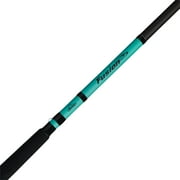 Berkley Fusion Spinning Combo, 9 Medium Heavy Fishing Rod, 60 Size Reel