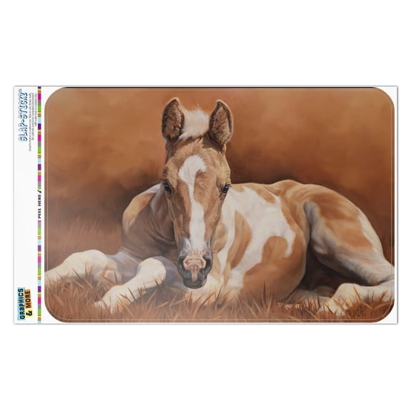 Foal Baby Horse New Paint Home Business Office Sign