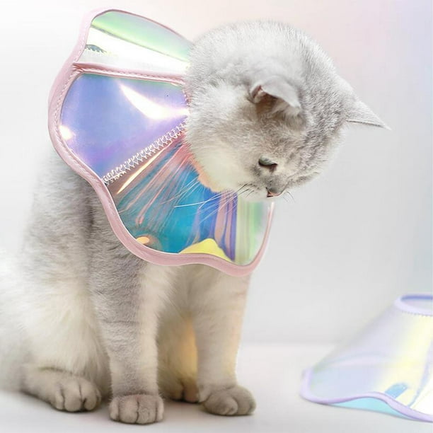 Collar de cono de gato, Collar de cono de perro ligero antilamer para gatitos, gatos, conejos M Yinane Cono de gato