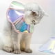 thumbnail image 1 of Collar de cono de gato, Collar de cono de perro ligero antilamer para gatitos, gatos, conejos M Yinane Cono de gato, 1 of 8
