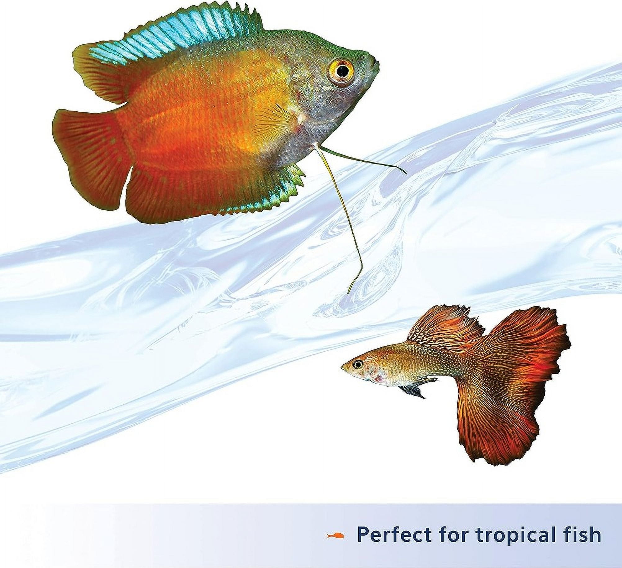 Aqueon Nutrinsect Tropical Flakes [Aquarium Tropical Fish Food, Aquarium Supplies] 6.36 oz (4 x 1.59 oz)