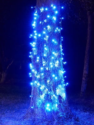 Wick's Outdoor Living 6 x 10 Mesh LED Blue Lights
