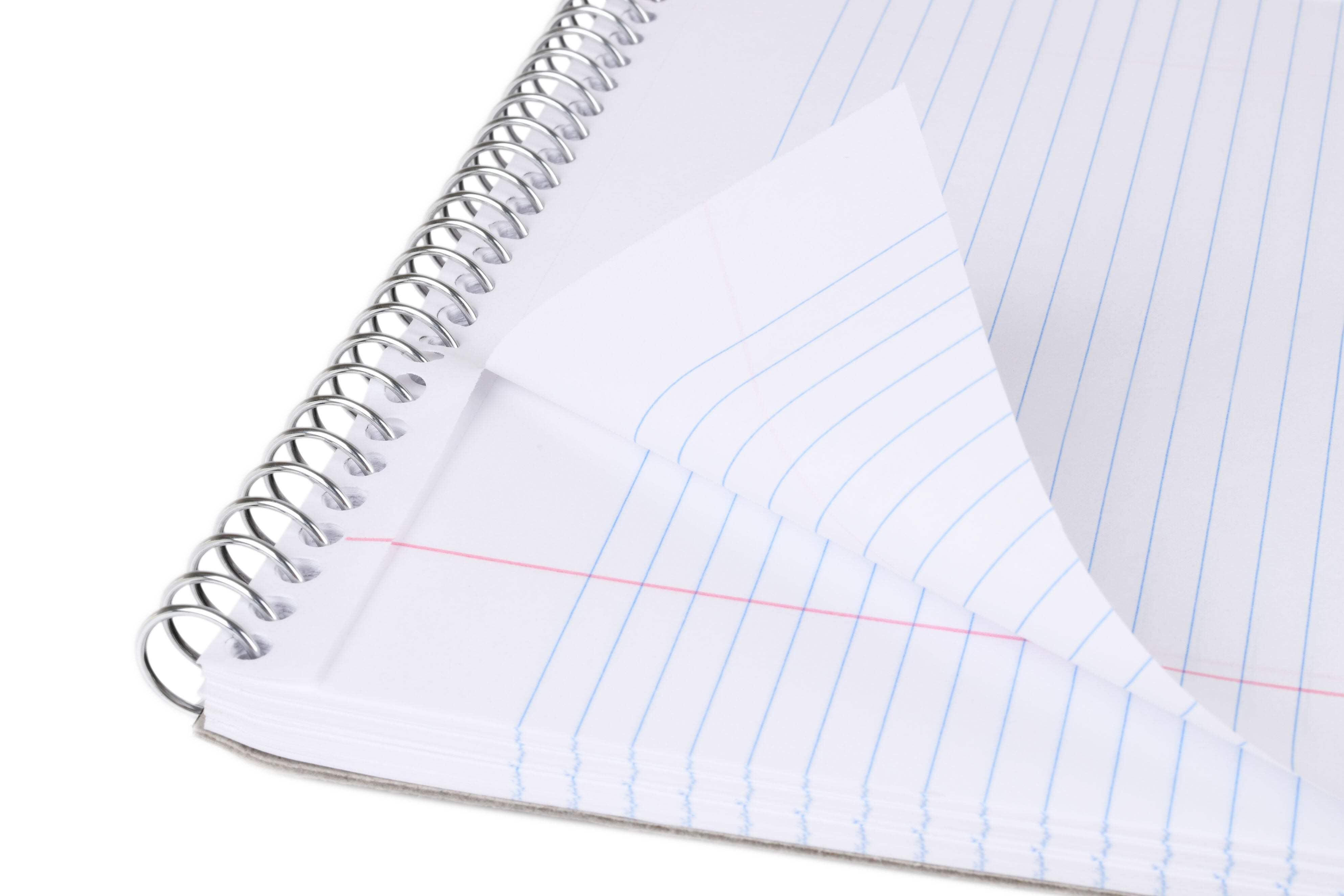 Mintra Home College Ruled Spiral Notebook, 100 Pages photo 3