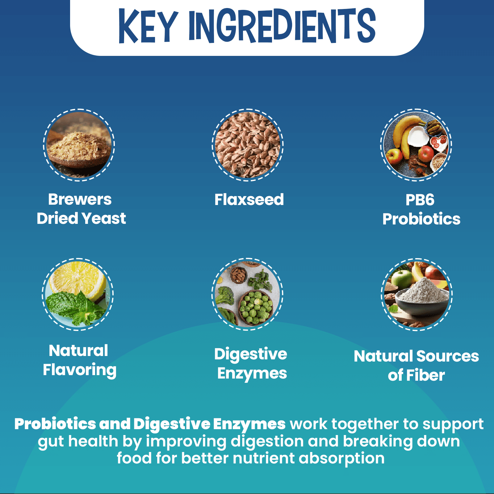 Replenish Probiotic and Digestive Enzyme Chews for Dogs - Dog Probiotics Digestive Supplement - Probiotics for Dogs Gut Health & Stomach Relief - 60 Soft Chews