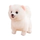 thumbnail image 5 of Muñeco de peluche de perro abrazable, adorable, realista, mimoso y tierno. pomeranio, 5 of 9