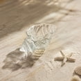 thumbnail image 5 of Glass Conch Shell Trinket Tray, Coastal Ocean Style Decorative Storage Dish for Tabletop Vanity Catchall, Seaside Home Decor Ornament Accessory for Bathroom Bedroom Living Room, 5 of 7