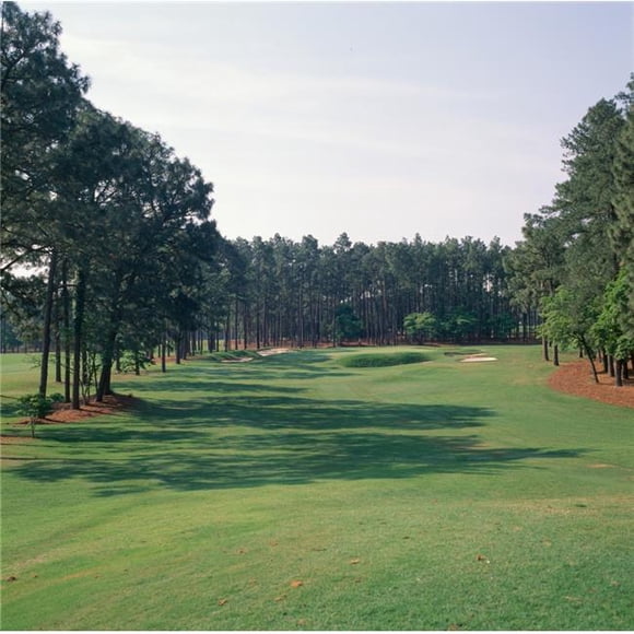 17th Hole At Golf Course Pinehurst Resort Pinehurst Moore County North Carolina USA Poster Print, 12 x 12