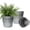 4, variant on Vintage Rustic Metal Planters with Drain Hole - 3 Pack Large Galvanized Tin Bucket Flower Pots for Indoor Plants, Farmhouse Decor