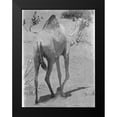 thumbnail image 2 of Lewis, Sheldon 19x24 Black Modern Framed Museum Art Print Titled - On My Way 1, 2 of 5