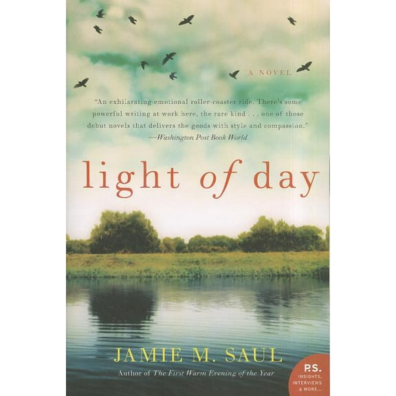 Light of Day, (Paperback)