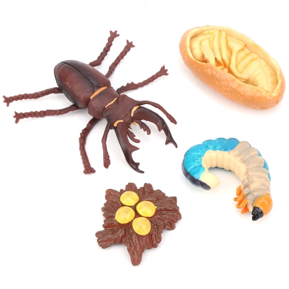 Children Animal Model Toy,Animals Growth Cycle Life Simulation Animal Model Toy Life Cycle Model Set Unmatched Quality
