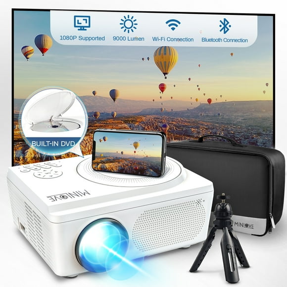 Outdoor Projector Dvd Player