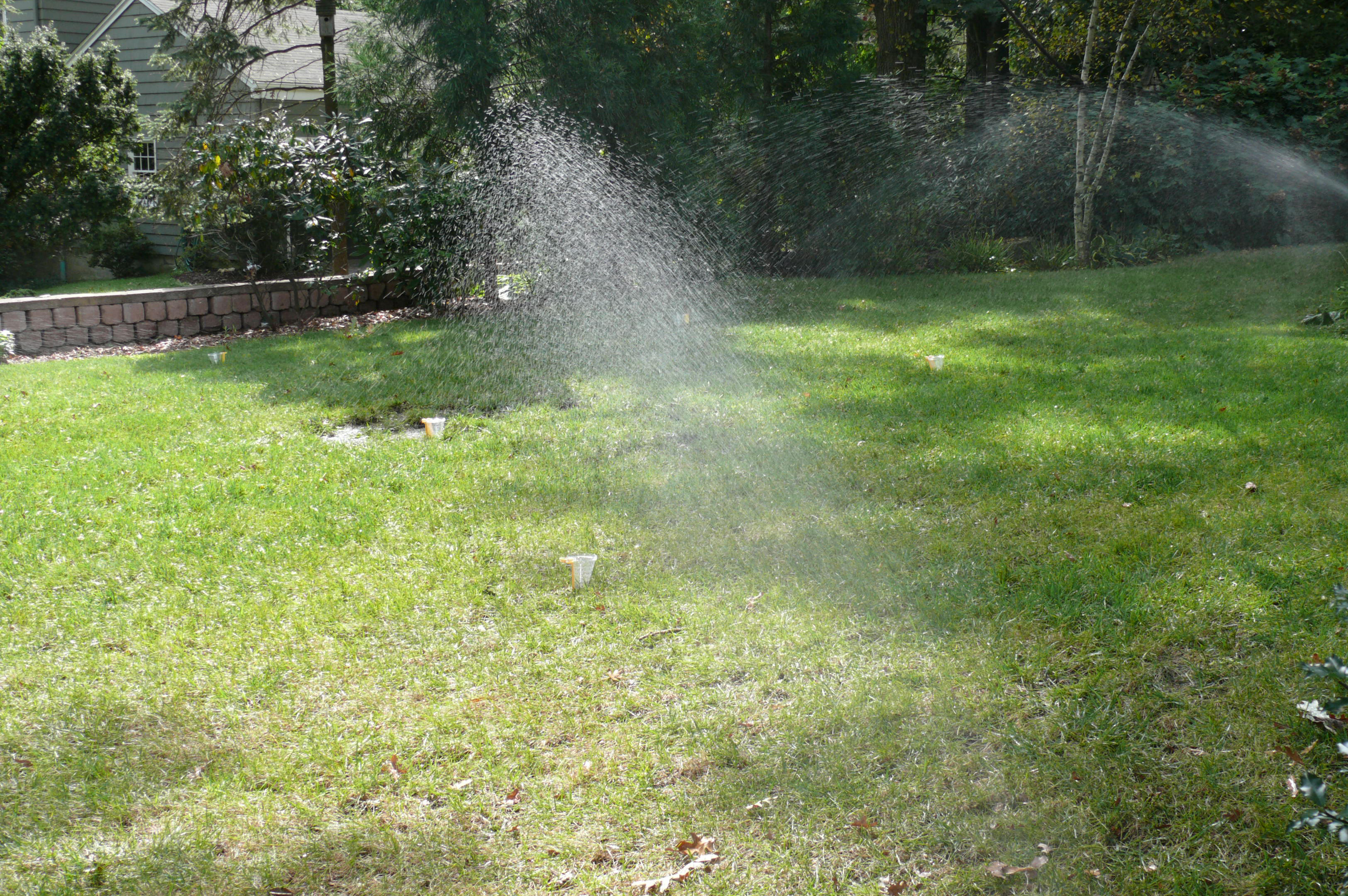 Accurate Sprinkler SET of 8 Rain Gauge | Outdoor lawn