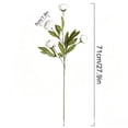 White Ranaculas Roses Artificial Ranunculus Silk Flowers with Flexible Stems for DIY Wedding ...