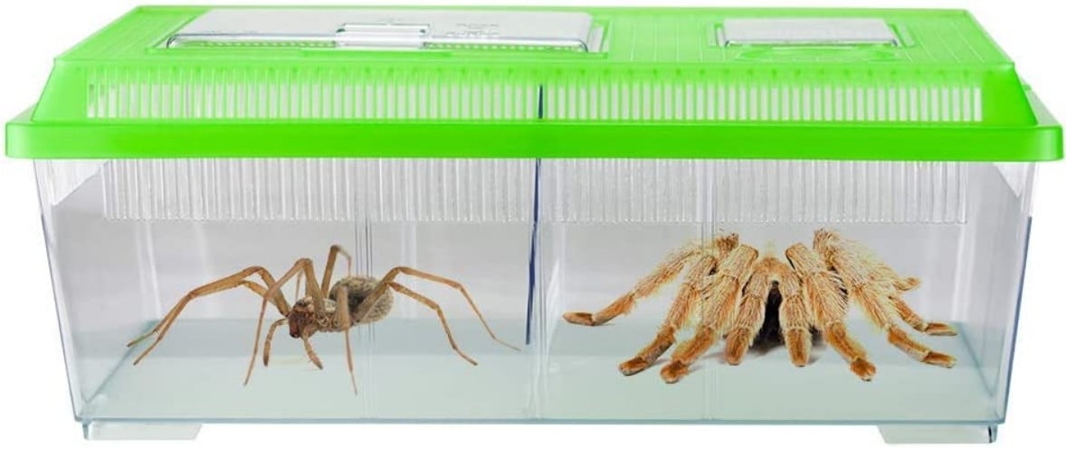 Lees Reptile Ranch Ventilated Reptile and Amphibian Rectangle Habitat with Lid [Reptile Terrariums and Tanks, Lees, Reptile Supplies] Large - 1 count