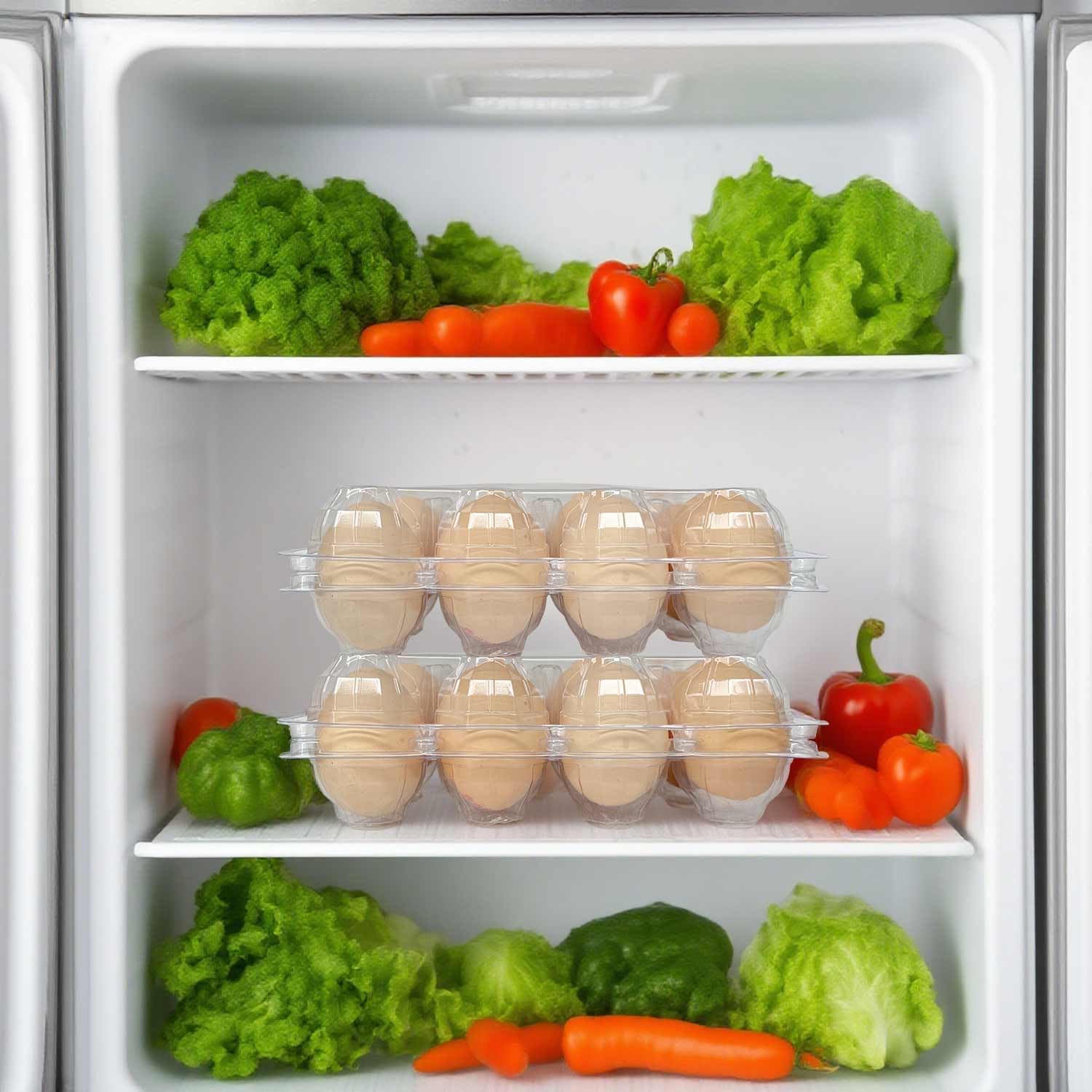 Neighborly Nook 50-Pack of 12-Count Plastic Egg Cartons – Bulk Clear Reusable Egg Containers Holds Chicken Eggs | Egg Cartons Cheap Bulk, Eggs 12 Count,Suitable for farms, markets and families.