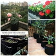 thumbnail image 5 of LYUMO Gallon Black Plants Vegetable Flower Growing Bag, 5 of 5